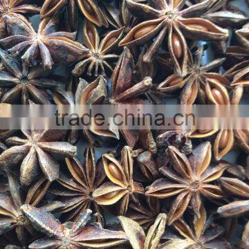 Spring Star Anise, Vietnam high quality products