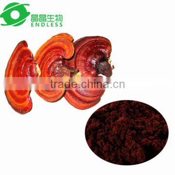 Organic Ganoderma Red Mushroom Powder for Ganoderma Tea