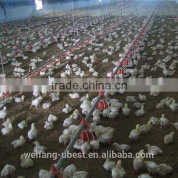 Broiler chick used poultry feed manufacturing equipment