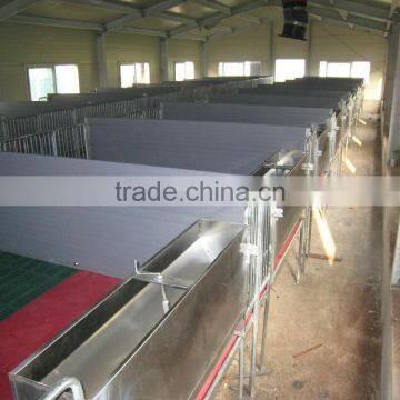 Pig farm equiment sst double side feeder