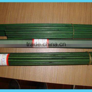 Wy-C147 Green bamboo stick