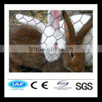 Hot sale ss hexagonal wire nettings