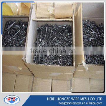 polish or bright common wire nail from china factory