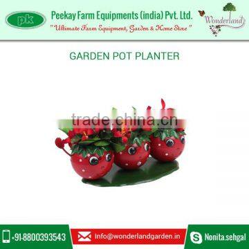 Beautifully Crafted And Hand Painted Pot Planter for Gardens Decoration at Minimal Rate photo-2