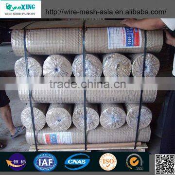 China Wholesale Professional Manufacture Galvanized Welded Wire Mesh photo-2