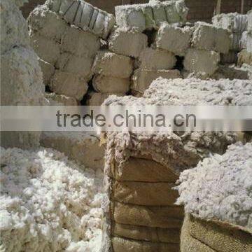 Cotton Linter / Cotton Linter pulp / Cotton Waste