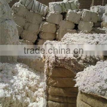 Cotton Linter / Cotton Linter Pulp / Cotton Waste