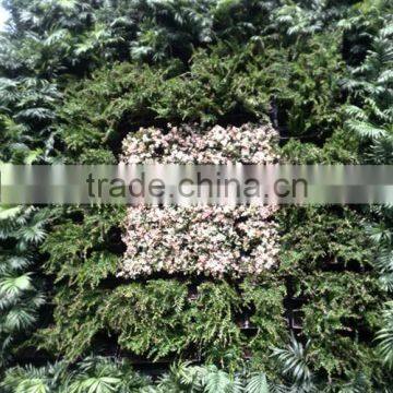 SOL 2015 NEW DESIGN Vertical Green Green Wall Planter Plastic Green Wall Planter photo-2