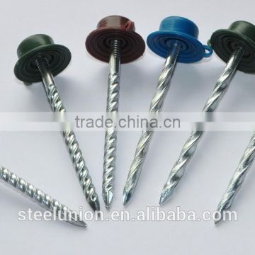 Screw nails / corrugated roofing nails with plastic cap