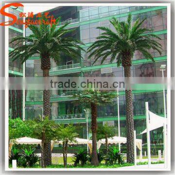 Hot Sale Artificial Outdoor Date Palm Trees Fiberglass 6 Meter for Palm Tree Wedding Decorations Tree photo-3