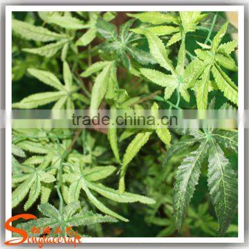 Customized Large Outdoor Artificial Trees Artificial Baobab Tree Fiberglass Artificial Tree photo-3