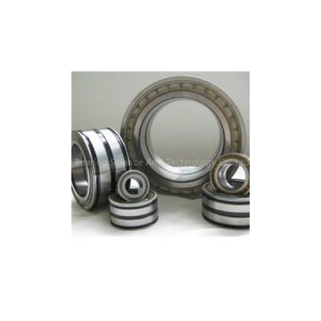 Large-size Bearings