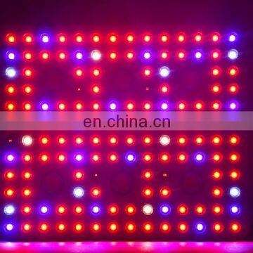 New Product 3000W Grow Light Plant Lights for Indoor Plants LED Lamp Full Spectrum photo-3