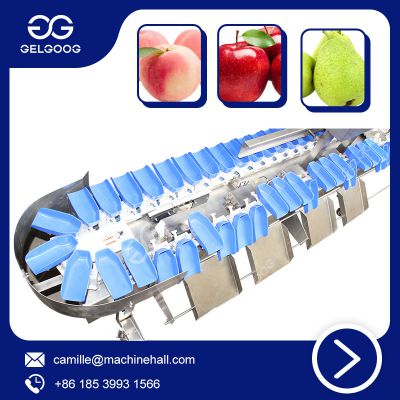 2-10t/h Peach Weighting Grading Machine Fresh Fish Weight Sorting Machine