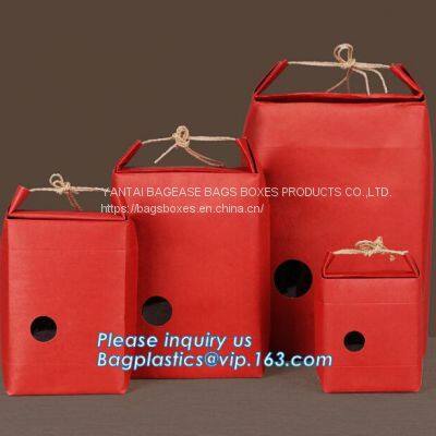 1kg Rice Package Kraft Paper Packaging Bag Brown Kraft Food Paper Bag,5kg10kg Rice Bag Plastic Packaging Bag for Rice photo-4