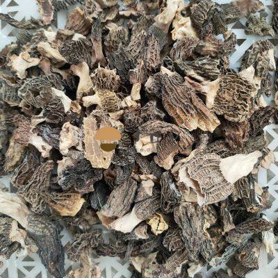 Dehydrated Dried Morel Mushroom Morchella Esculenta Conica photo-2