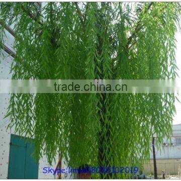the Evergreen Leaves Artificial Trees Artificial Weeping Willow Trees photo-5