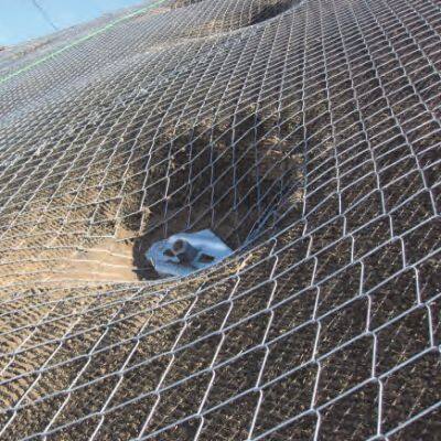 Rockfall Net/ High Tensile Rockfall Protection Netting 65/3 80/3 80/4 80/4.6 / Slope Protection Mesh photo-2
