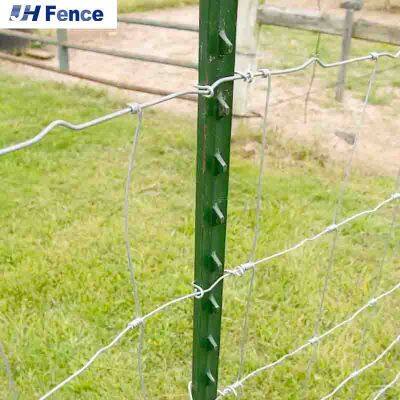 Factory Direct Sales Cheap Price Metal Farm Fence T Y Post Series photo-2