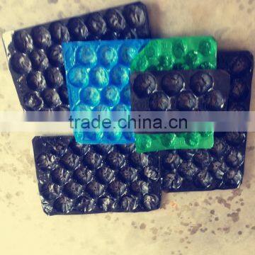 Fruit shape disposable Plastic Container Sale well