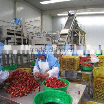 complete strawberry processing line/strawberry juice machine