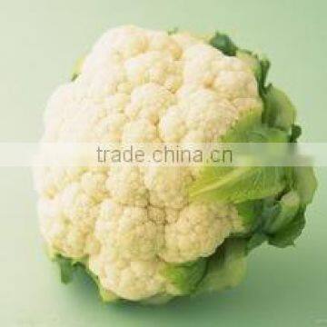 Fresh Cauliflower