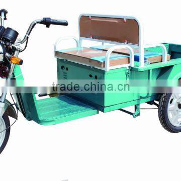 The Factory Sales Electric Tricycle for Cargo Richshaw
