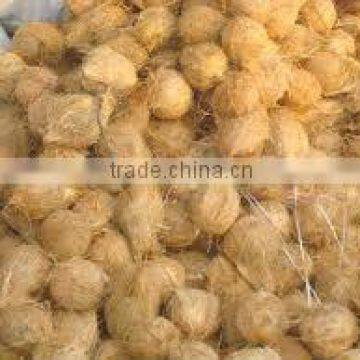 Semi Husked COCONUT photo-5