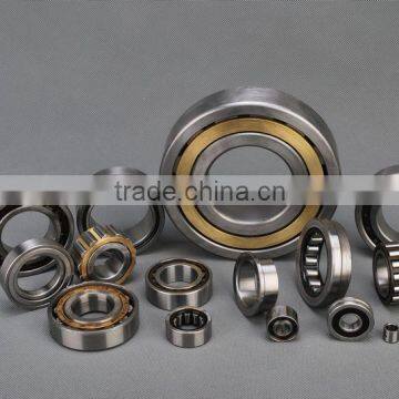 Cylindrical Roller Bearings N224E