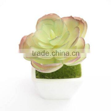 Artificial plants succulent Plant Type and PE foam Material mini artificial plants