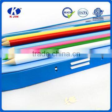 School Supply Wholesale Personalzed Cartoon Pencil Case for Tablet photo-6