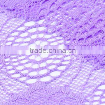2016 New Design Lace Fabric and High Quality for Garments photo-4