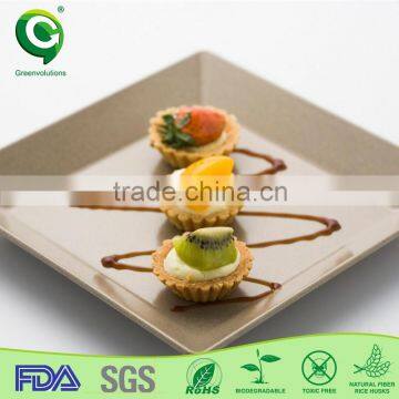 biodegrable and wholesale elegant simple square plate