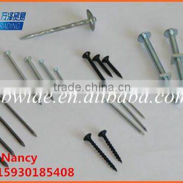 professional factory produce low price common iron nail