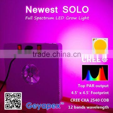 CXA 3070 COB LED Grow Light 1000w