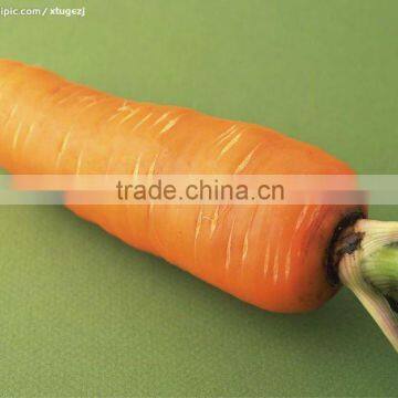 fresh carrots for sale