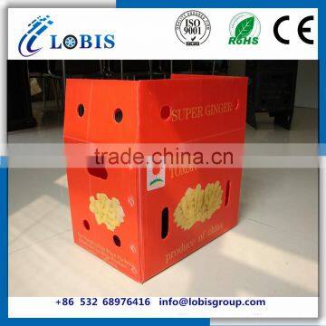 Hot Sale PP Material Plastic Fresh Fruit Corrugated Box Packaging