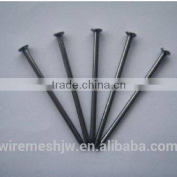 Black Common Nail/Iron Nail/Roofing Nail