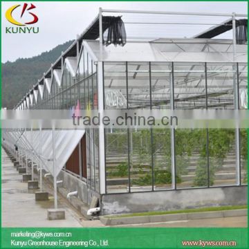 Venlo roof type best plastic greenhouse glass greenhouse windows