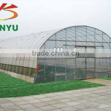 Economical tunnel film greenhouse