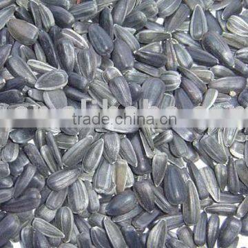 sunflower seeds