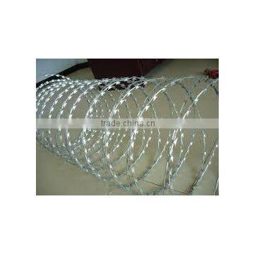 Hot Popular Concertina Razor Wire Direct Form Factory photo-2