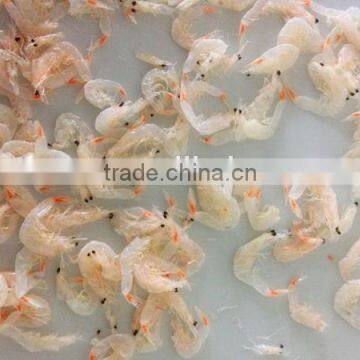 Good Price Frozen Dried Baby Shrimp 1-2cm