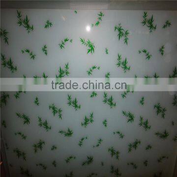 Colorful Design Silkscreen Printed Glass for Windows photo-3