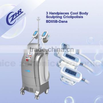 professional and fast cryo fat freeze slimming machine BD05B