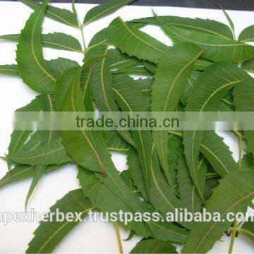 Azardiractha Indica / Neem Cake / Neem Deoiled Cake photo-3