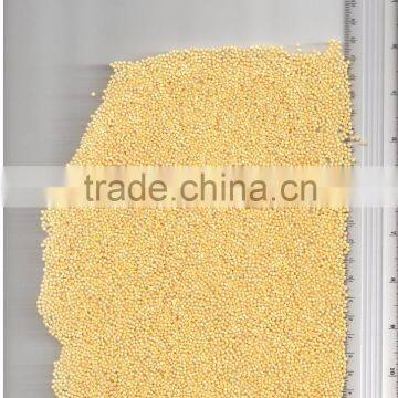 UKRAINIAN HULLED MILLET