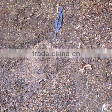 Extracted Cashew nut shell