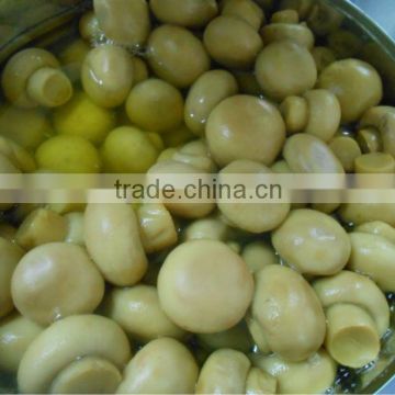 IQF blanched champignon mushroom