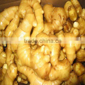 Fresh Ginger 250g